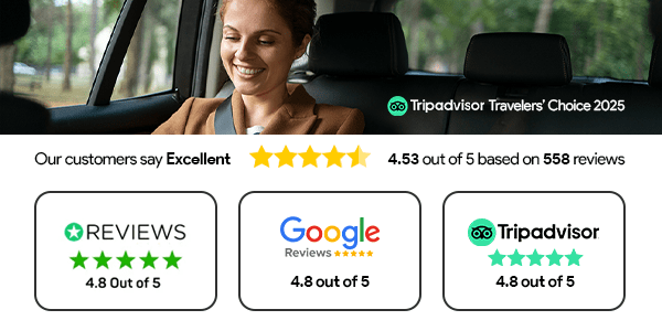 Ratings & Reviews